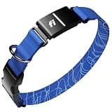 Fi Series 3+ GPS + Health Dog Collar, Blue, Large, 6-Month Membership