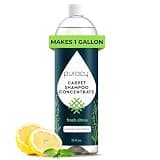 Puracy Carpet Cleaner Solution - Carpet Shampoo, Pet Stain & Odor Remover, Rug & Upholstery Cleaner, 4X Concentrated, Low Foam Shampooer Formula, Fresh Citrus, 25oz