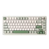 YUNZII B75 PRO Wireless Mechanical Keyboard,75% Layout with Knob,Hot Swap Gasket Structure,Creamy Pre-lubed Switches,RGB Backlit,Bluetooth/Type-C/2.4G for Win/Mac (Matcha Green, Cocoa Cream V2 Switch)