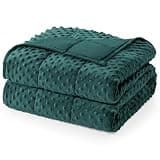 Cottonblue Cooling Weighted Blanket 20lbs Queen Size for Adults, Breathable Minky Dots Heavy Blanket for Sleeping and Calm, Machine Washable All-Season Blankets, 60 x 80in 20lbs, Green