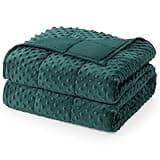 Cottonblue Cooling Weighted Blanket 20lbs Queen Size for Adults, Breathable Minky Dots Heavy Blanket for Sleeping and Calm, Machine Washable All-Season Blankets, 60 x 80in 20lbs, Green