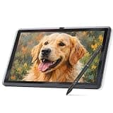 PicassoTab Z13 Standalone EMR Drawing Tablet, Battery-Free 8192 Levels Pen, No Computer Needed, Paper-Like 13.3" Screen, Pro Drawing Apps & Tutorials, Android 15, Designed for Students, Artists -Z13