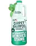 Sunny & Honey Heavy Duty Carpet Cleaner Solution for Machines - Powerful Stain and Surface Odor Eliminator For New and Deep-set Pet Messes - For Rugs, Couches and Upholstery (32fl oz, Spring Mint)