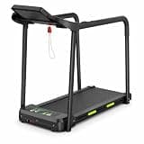 DGLDCSHUAI Walking Pad for Seniors with Handrails, 2.5HP Treadmill