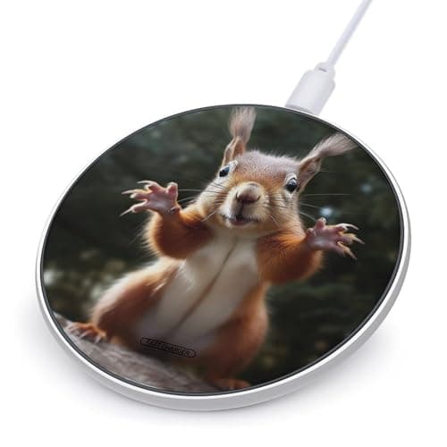 Wireless Charging Pad, Squirrel Funny Animal Simple Advanced Wireless Charging Pad, Business Wireless Fast Portable Magnetic Wireless Charger,wireless Phone Charging Pad