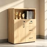 YCZYCZ Lateral File Cabinet with Lock, Metal Office Storage Cabinet, 2 Drawer Lateral File Cabinets for Home Office, A4 Letter Size, Heavy Duty Steel Filing Cabinet for Documents Storage