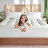 LUNESTRY Mattress Topper Queen Size, Viscose Made Form Bamboo, Pillow Top Mattress Pad for Back Pain Relief, Stretchable Pockets for 6"-18" Mattress(Green,60"x80"