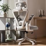 SeekFancy Ergonomic Office Chair M903, Computer Desk Chair with Wheels, High Back Mesh Office Chair with Adjustable Lumbar Support, Headrest, Flip-Up Armrests, White Grey