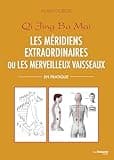 Les méridiens extraordinaires ou les merveilleux vaisseaux (French Edition)