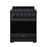 30 Inch Professional Liquid Propane with Precision Knob Control in Black/Blue