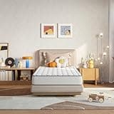 2 Queen Mattress 8 inch,Foam and Spring Hybrid Mattresses for Comfortable Sleep,Steel Coils for Durable Support,CertiPUR-US Certified Foam,Youth/Guest Rooms,Queen Size Mattress in a Box