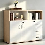 YCZYCZ Lateral File Cabinet with Lock, Metal Office Storage Cabinet, 2 Drawer Lateral File Cabinets for Home Office, A4 Letter Size, Heavy Duty Steel Filing Cabinet for Documents Storage