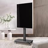 LBAawxe Mobile TV Cart on Wheels - Portable Floor TV Stand Holds, Horizontal and Vertical Screen Fixed
