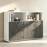 YCZYCZ Lateral File Cabinet with Lock, Metal Office Storage Cabinet, 2 Drawer Lateral File Cabinets for Home Office, A4 Letter Size, Heavy Duty Steel Filing Cabinet for Documents Storage