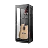 Electronic Dehumidifier for Acoustic Guitars,Lockable Glass Door,Suitable for Maintenance, Storage, And Display,B