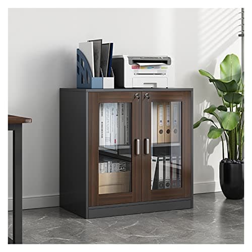 HASMI Filing Cabinet File Cabinet Wooden Office Cabinet with Glass Data Cabinet with Lock Financial Storage Filing Cabinet Storage Small Bookcase Floor Storage Cabinet (Color : 2, Size : A)