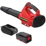 PowerSmart Cordless Leaf Snow Blower with 40V Battery and Charger, 2 Speeds, Lightweight, for Lawn Care, Yard, Sidewalk, Car