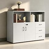 YCZYCZ Lateral File Cabinet with Lock, Metal Office Storage Cabinet, 2 Drawer Lateral File Cabinets for Home Office, A4 Letter Size, Heavy Duty Steel Filing Cabinet for Documents Storage