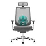 COLAMY Ergonomic Mesh Office Chair, High Back Office Chair, Computer Executive Desk Chair with Lumbar Support,Adjustable Headrest and 4D Arms, Slide Seat, Tilt Lock-Darkgrey New