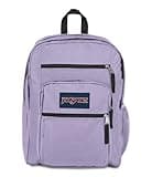 JanSport Laptop Backpack - Computer Bag with 2 Compartments, Ergonomic Shoulder Straps, 15” Laptop Sleeve, Haul Handle - Pastel Lilac