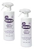 Folex Instant Carpet Spot Remover, 32 Fl Oz (Pack of 2)