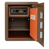 Biometric Steel Home Safe, Fingerprint Password Lock with Alarm,Double Layer Safe for Cash Jewelry Documents Coffee Gold
