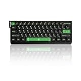 ZMX MADLIONS MAD 60 V2 Rapid Trigger RGB Gaming Keyboard,60% Hall Effect Magnetic Switch Wired Mechanical Keyboard with 8K Polling Rate 0.001mm RT PrecisionTransparent Keycaps for PC/Mac (Black)