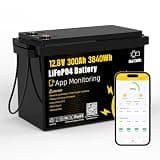 12V 300Ah LiFePO4 Battery with Bluetooth Smart Monitoring, 3840Wh Deep Cycle Lithium Battery, 200A BMS, 8000+ Cycles for RV, Off-Grid Solar Systems, Home Backup, Marine & Trolling Motors
