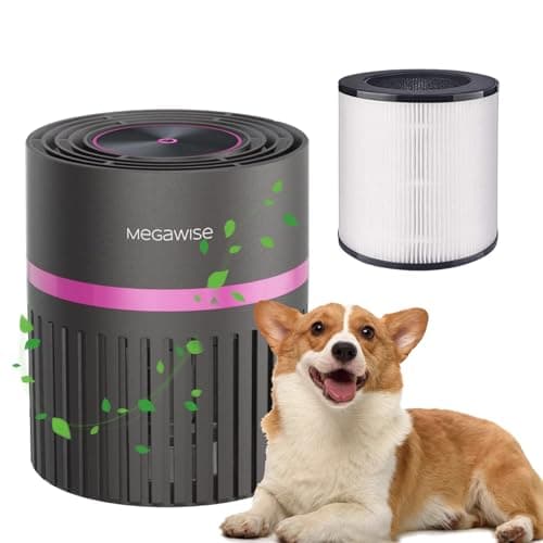 MEGAWISE HEPA Air Purifier for Home & Office, Compact Design with 1 Replacement Filter, Quiet Operation, Suitable for Daily Air Refreshing (Grey)