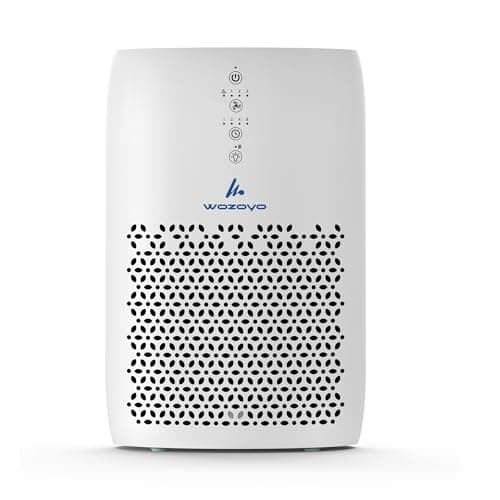 Wozoyo Air Purifier for Home & Bedrooms, Covers up to 601 ft², 80 CFM, AHAM VERIFIDE, Captures Pollen, Toxic Gases, 3-Stage Filtration, Night Light, Low Noise – Pure Air PA2