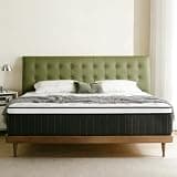 Queen Mattress in a Box, 10 Inch Medium Firm Hybrid Bed, High Density Foam & Individual Pocket Springs, Motion Isolation & Pressure Relief, Ideal for Guest Room