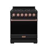 30 Inch Professional Liquid Propane with Precision Knob Control in Black/Rose Gold
