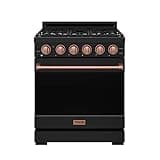30 Inch Professional Liquid Propane with Precision Knob Control in Black/Rose Gold
