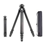 Falcam TreeRoot F38 Pro Carbon Fiber Tripod, 61" Quick Lock Travel Tripod with 360° Ball Head, 5kg Load, F22 Interfaces, 1/4" Screw, Carry Strap Holes for DSLR, Mirrorless, and Video Cameras