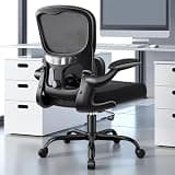 ALLGOD Ergonomic Office Chair, Breathable Mesh Ergonomic Desk Chair with Adjustable Lumbar Support, Flip-up Armrests, Computer Chairs Comfortable for Home, Office, Work, 300lbs, Black, Upgrade