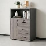 ZGLGKL Lateral File Cabinets for Home Office, Wood Office Cabinet with Drawers, Password Lock and Open Shelves, Standing Printer Stand for School, Office,Gray:(31.5" L) One Door and Three Drawers