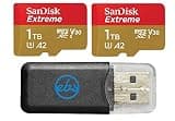 SanDisk 1TB MicroSD Extreme Memory Card (2 Pack) Compatible with DJI Air 2S, Air 2, Mini, Mini 2, Mavic 2 Drone Series (SDSQXAV-1T00-GN6MN) Bundle with 1 Everything But Stromboli Micro Card Reader