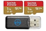 SanDisk 1TB MicroSD Extreme Memory Card (2 Pack) Compatible with DJI Air 2S, Air 2, Mini, Mini 2, Mavic 2 Drone Series (SDSQXAV-1T00-GN6MN) Bundle with 1 Everything But Stromboli Micro Card Reader