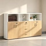 YCZYCZ Lateral File Cabinet with Lock, Metal Office Storage Cabinet, 2 Drawer Lateral File Cabinets for Home Office, A4 Letter Size, Heavy Duty Steel Filing Cabinet for Documents Storage