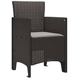 DXKDUSOKJ Modern Garden Chair 2 Pack Brown Polypropylene Outdoor Seating with Cushion for Patio