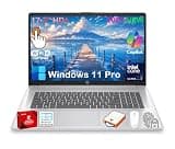 HP 17 inch Touchscreen Laptop for Business, 17.3" HD+ Touch Display, Intel 12 Core Ultra 7 255U (Up to 5.2GHz), 20GB DDR5 RAM, 1TB SSD, Backlit KB, Fingerprint, Win11 Pro, Office 365 for The Web