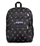 JanSport Laptop Backpack - Computer Bag with 2 Compartments, Ergonomic Shoulder Straps, 15” Laptop Sleeve, Haul Handle - Bad Bows