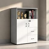 YCZYCZ Lateral File Cabinet with Lock, Metal Office Storage Cabinet, 2 Drawer Lateral File Cabinets for Home Office, A4 Letter Size, Heavy Duty Steel Filing Cabinet for Documents Storage