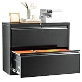 INTERGREAT Lateral File Cabinet 2 Drawer, Black Metal File Cabinets for Home Office, Locking File Cabinet for Letter/Legal/F4/A4 Size Hanging Files, Easy Assembly
