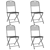 DXKDUSOKJ Set of 4 Folding Patio Chairs with Expanded Metal Mesh Anthracite, Sturdy Iron Frame for Outdoor Use, Simple Modern Design Stackable and Portable for Easy Storage