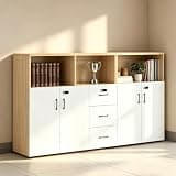 YCZYCZ Lateral File Cabinet with Lock, Metal Office Storage Cabinet, 2 Drawer Lateral File Cabinets for Home Office, A4 Letter Size, Heavy Duty Steel Filing Cabinet for Documents Storage