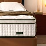 Bezzze Queen Hybrid Mattress 12 inch Medium Firm for Back Pain Relief