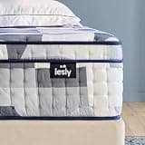 Lesly 12 Inch & 14 Inch Hybrid Mattress for Back Pain, Medium Firm Gel Memory Foam & Pocket Springs - Euro-Top Support Core, Mattress in a Box (12" Medium Firm, Full)