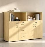 YCZYCZ Lateral File Cabinet with Lock, Metal Office Storage Cabinet, 2 Drawer Lateral File Cabinets for Home Office, A4 Letter Size, Heavy Duty Steel Filing Cabinet for Documents Storage