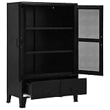 HGKMBRY Steel Office Cabinet with Mesh Doors, 3 Compartments and 2 Drawers with Name Tags, 29.5x15.7x47.2 Inches, Black Industrial File Cabinet for Home Office
